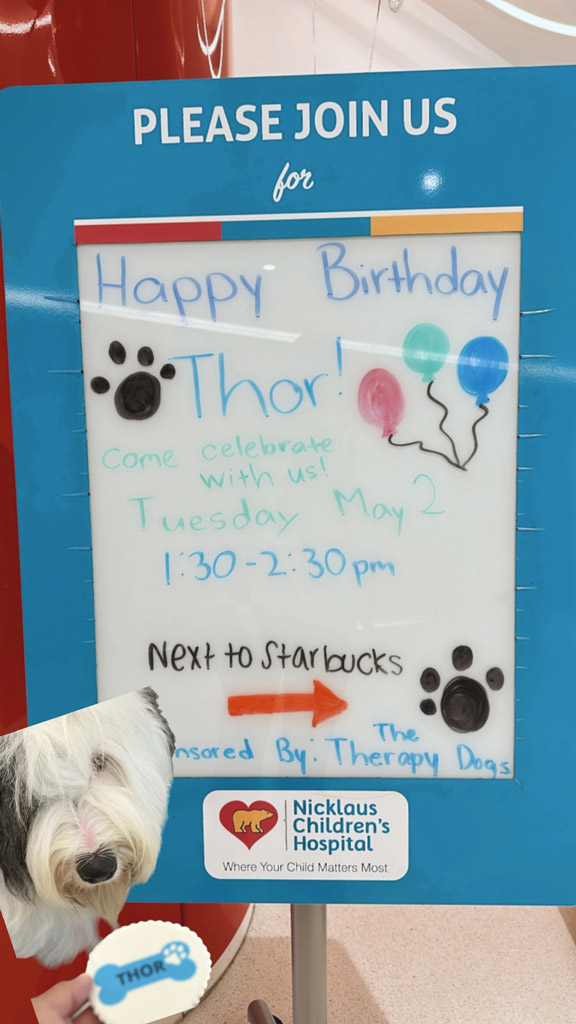  May 2, 2023 | Ale Ramos Therapy Animals