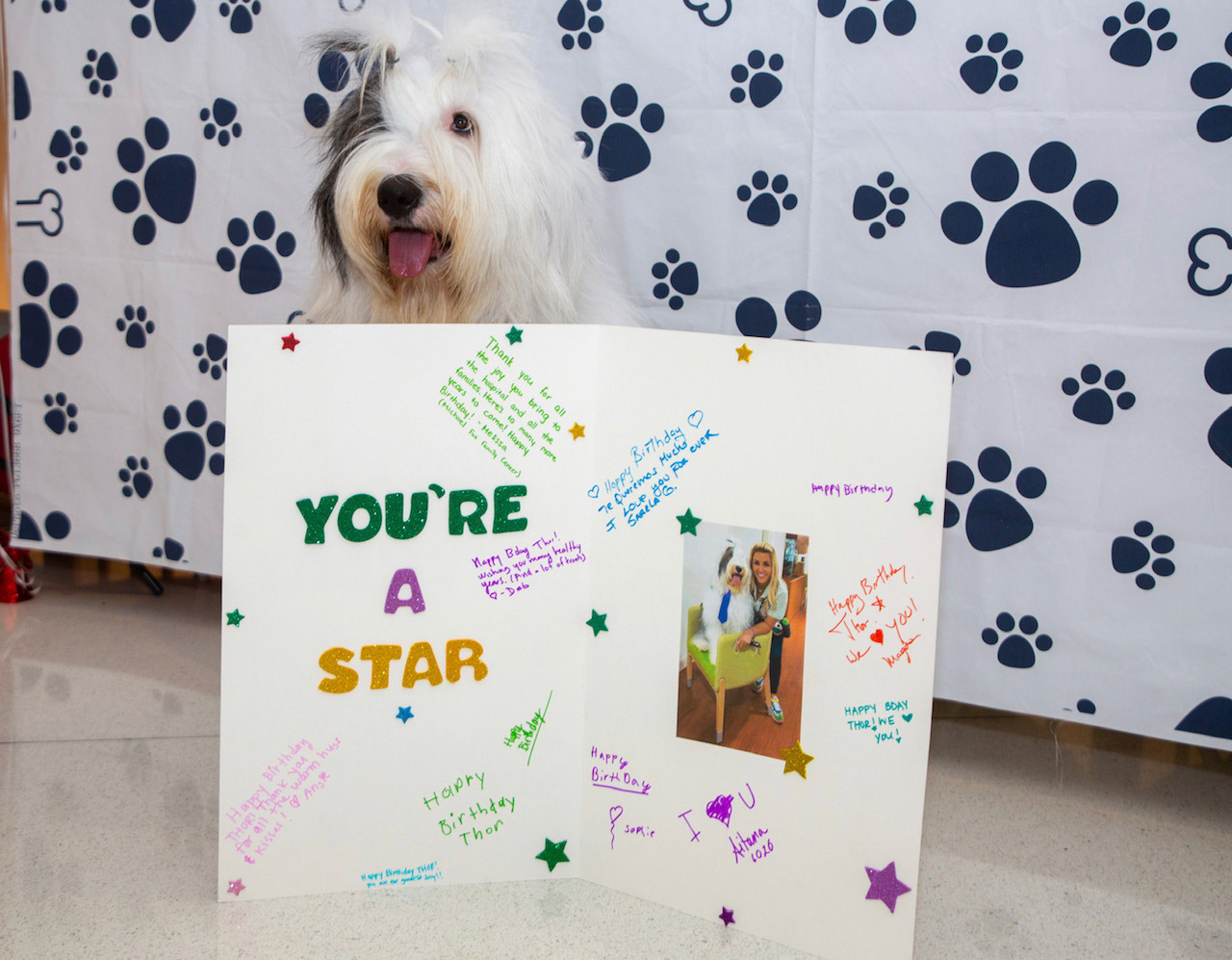 May 2, 2023 | Ale Ramos Therapy Animals