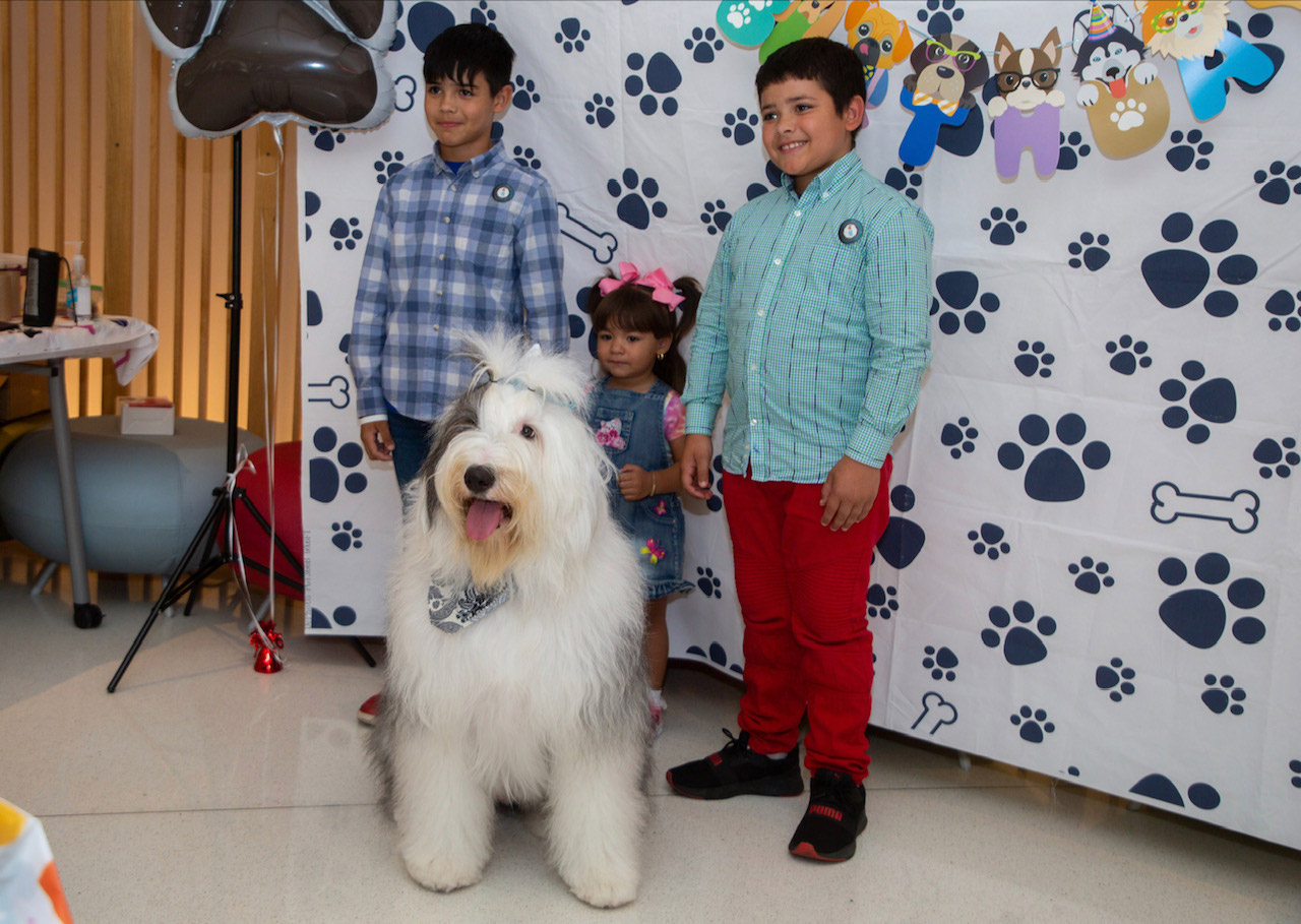  May 2, 2023 | Ale Ramos Therapy Animals