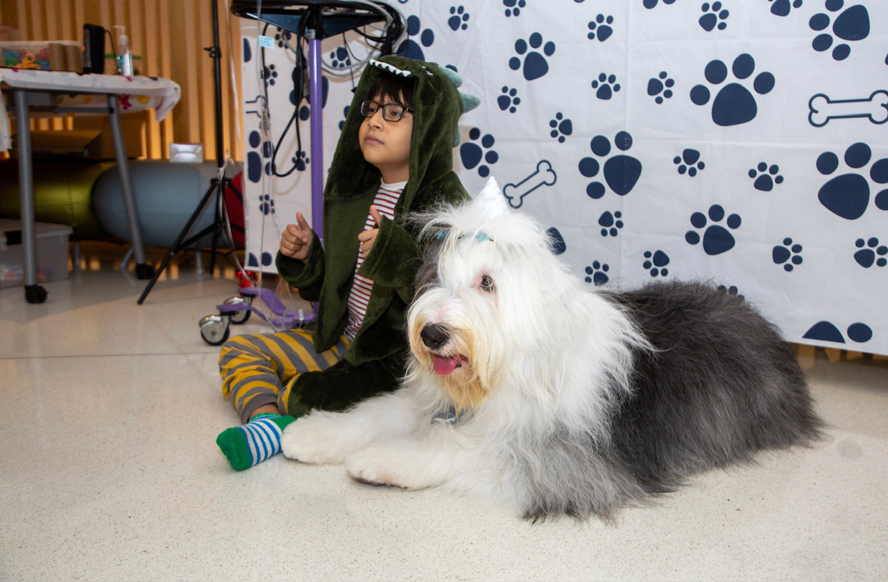  May 2, 2023 | Ale Ramos Therapy Animals