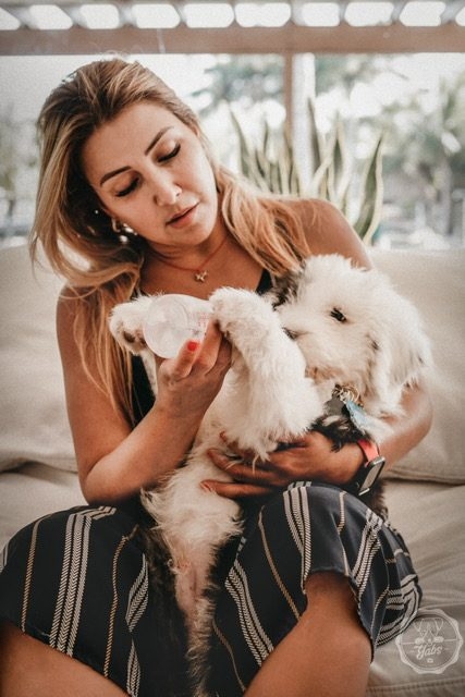 Thor Love | Ale Ramos Therapy Animals