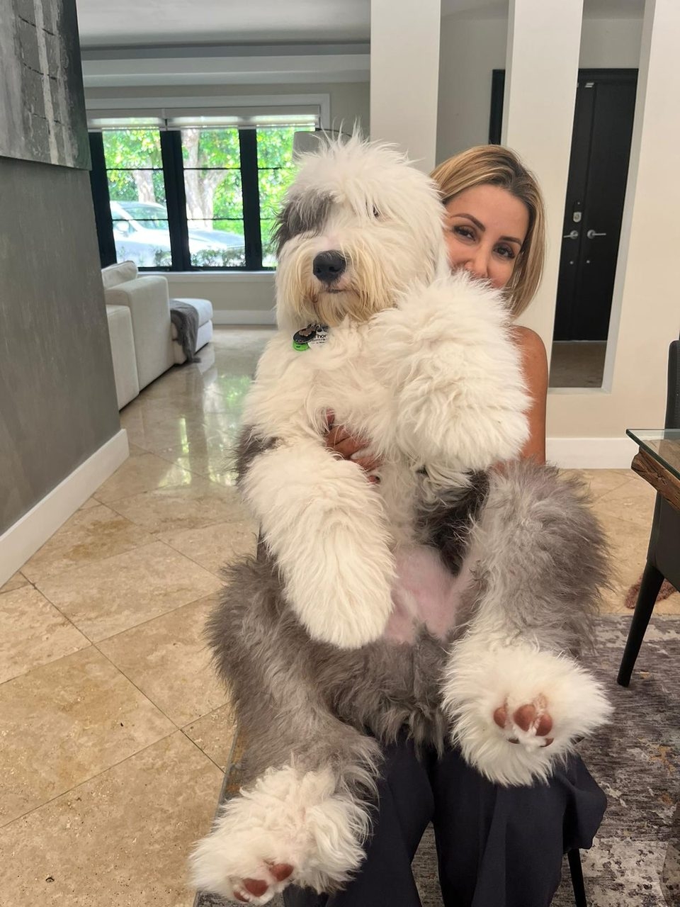 Thor Love | Ale Ramos Therapy Animals