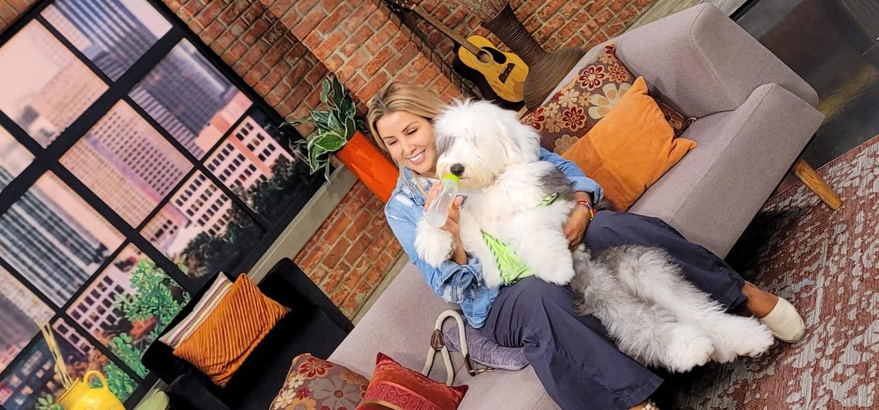 Thor Love | Ale Ramos Therapy Animals