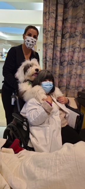 Thor Love | Ale Ramos Therapy Animals