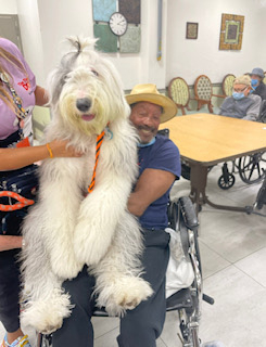  June 24, 2022 | Ale Ramos Therapy Animals