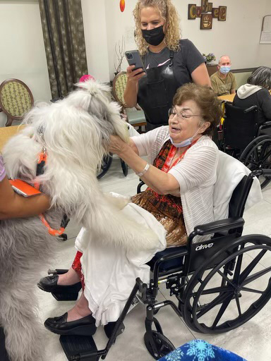 June 24, 2022 | Ale Ramos Therapy Animals