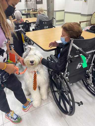  June 24, 2022 | Ale Ramos Therapy Animals
