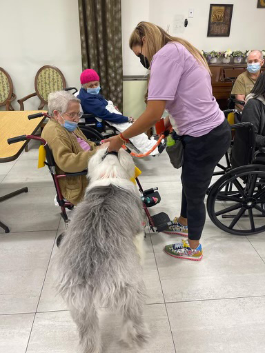  June 24, 2022 | Ale Ramos Therapy Animals