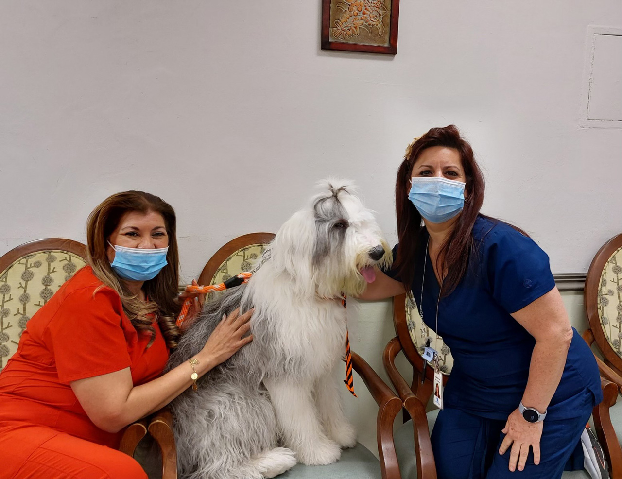  June 24, 2022 | Ale Ramos Therapy Animals