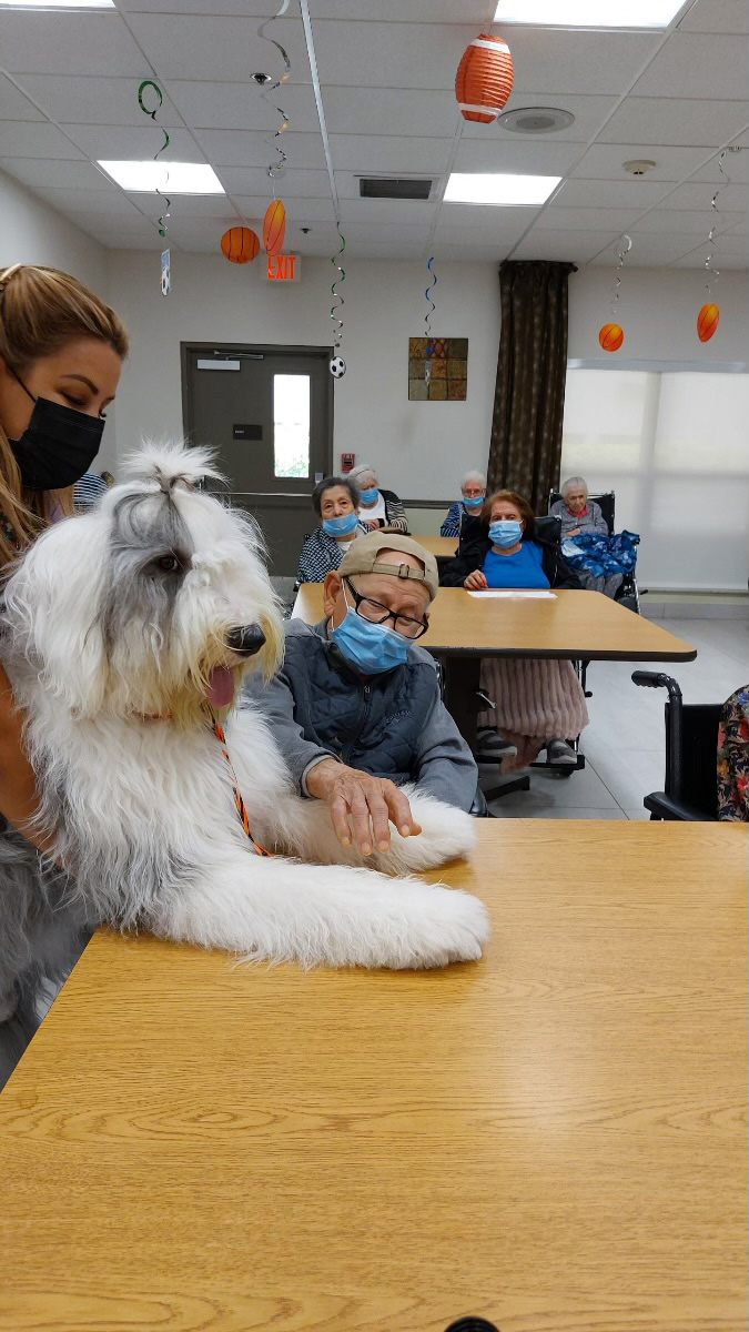  June 24, 2022 | Ale Ramos Therapy Animals