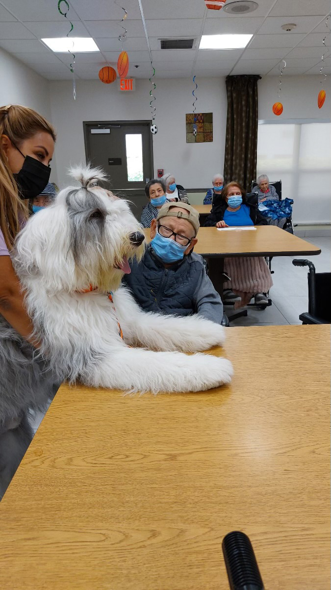  June 24, 2022 | Ale Ramos Therapy Animals