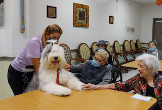  June 24, 2022 | Ale Ramos Therapy Animals