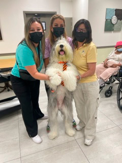  June 24, 2022 | Ale Ramos Therapy Animals