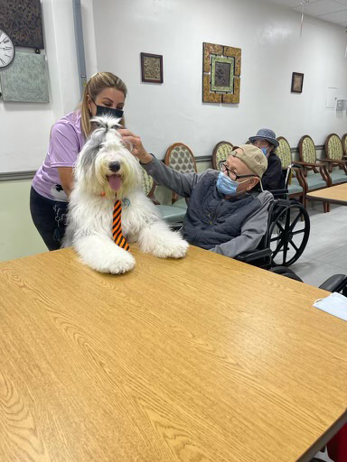  June 24, 2022 | Ale Ramos Therapy Animals