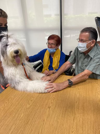  June 24, 2022 | Ale Ramos Therapy Animals
