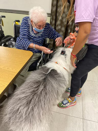  June 24, 2022 | Ale Ramos Therapy Animals