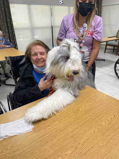  June 24, 2022 | Ale Ramos Therapy Animals