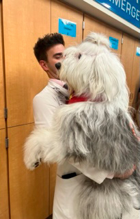  July 1, 2022 | Ale Ramos Therapy Animals