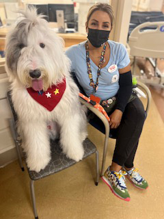  July 1, 2022 | Ale Ramos Therapy Animals