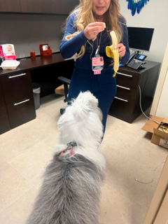  July 1, 2022 | Ale Ramos Therapy Animals