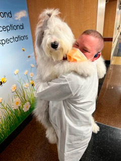  July 1, 2022 | Ale Ramos Therapy Animals