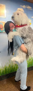  July 1, 2022 | Ale Ramos Therapy Animals