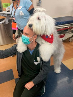  July 1, 2022 | Ale Ramos Therapy Animals