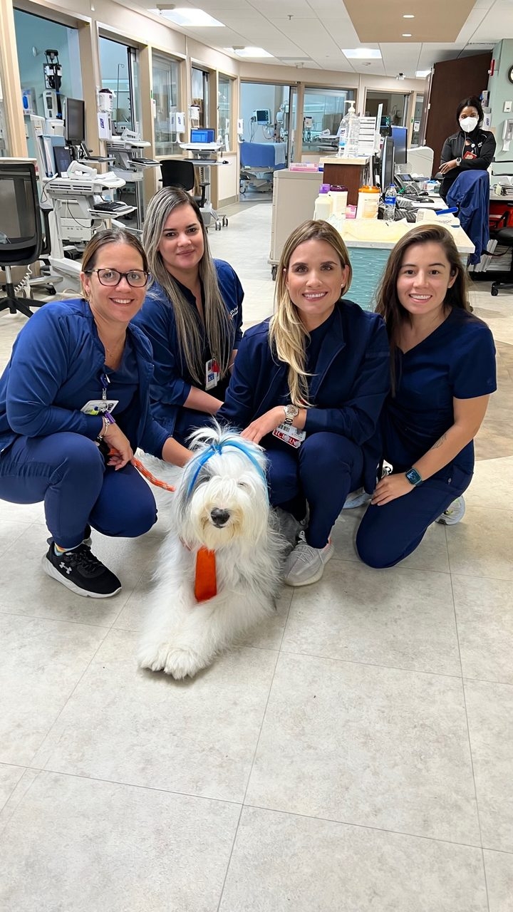  Oct 7, 2022 | Ale Ramos Therapy Animals