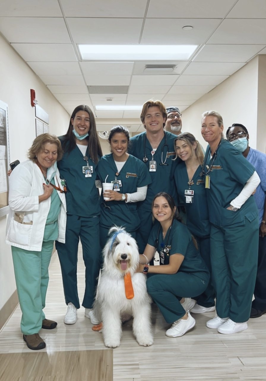  Oct 7, 2022 | Ale Ramos Therapy Animals