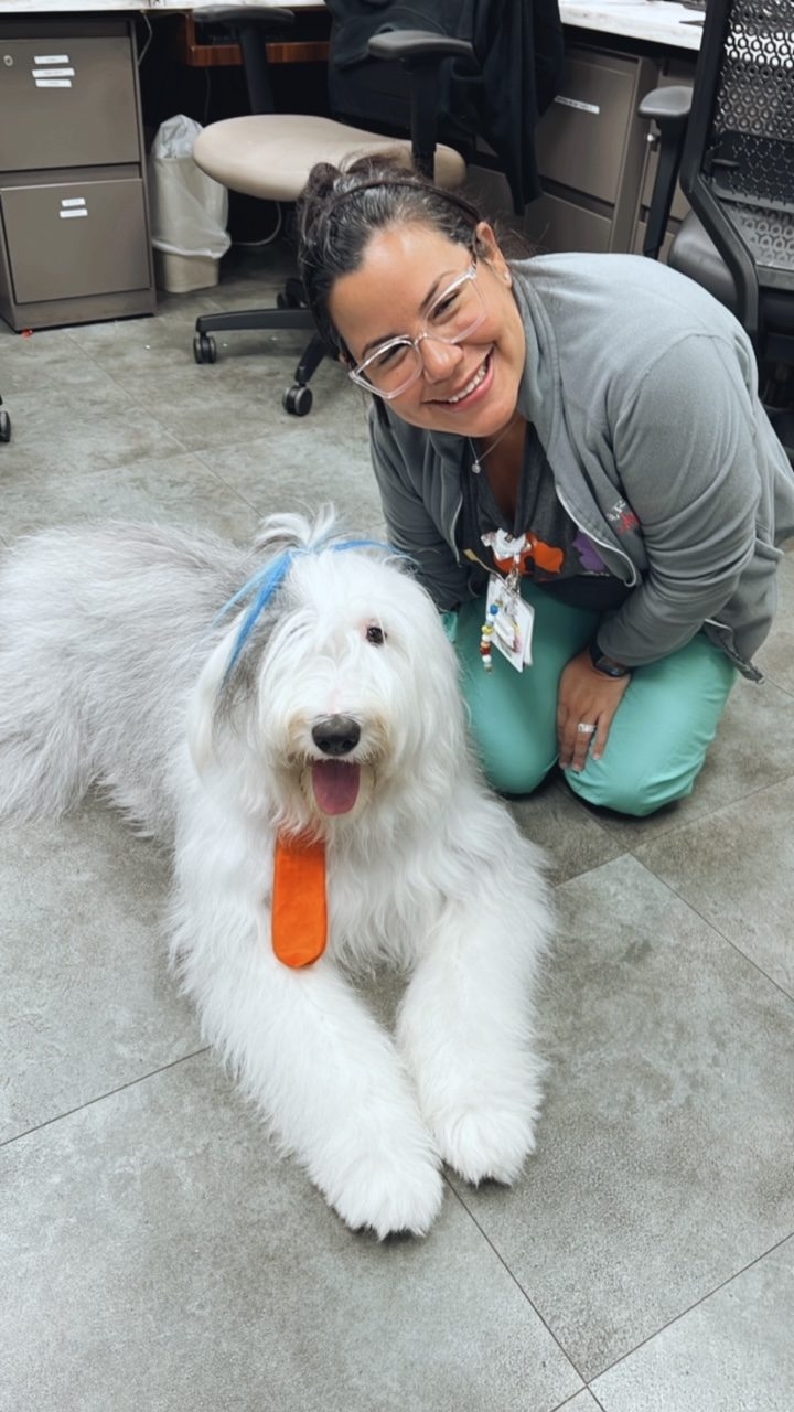 Oct 7, 2022 | Ale Ramos Therapy Animals