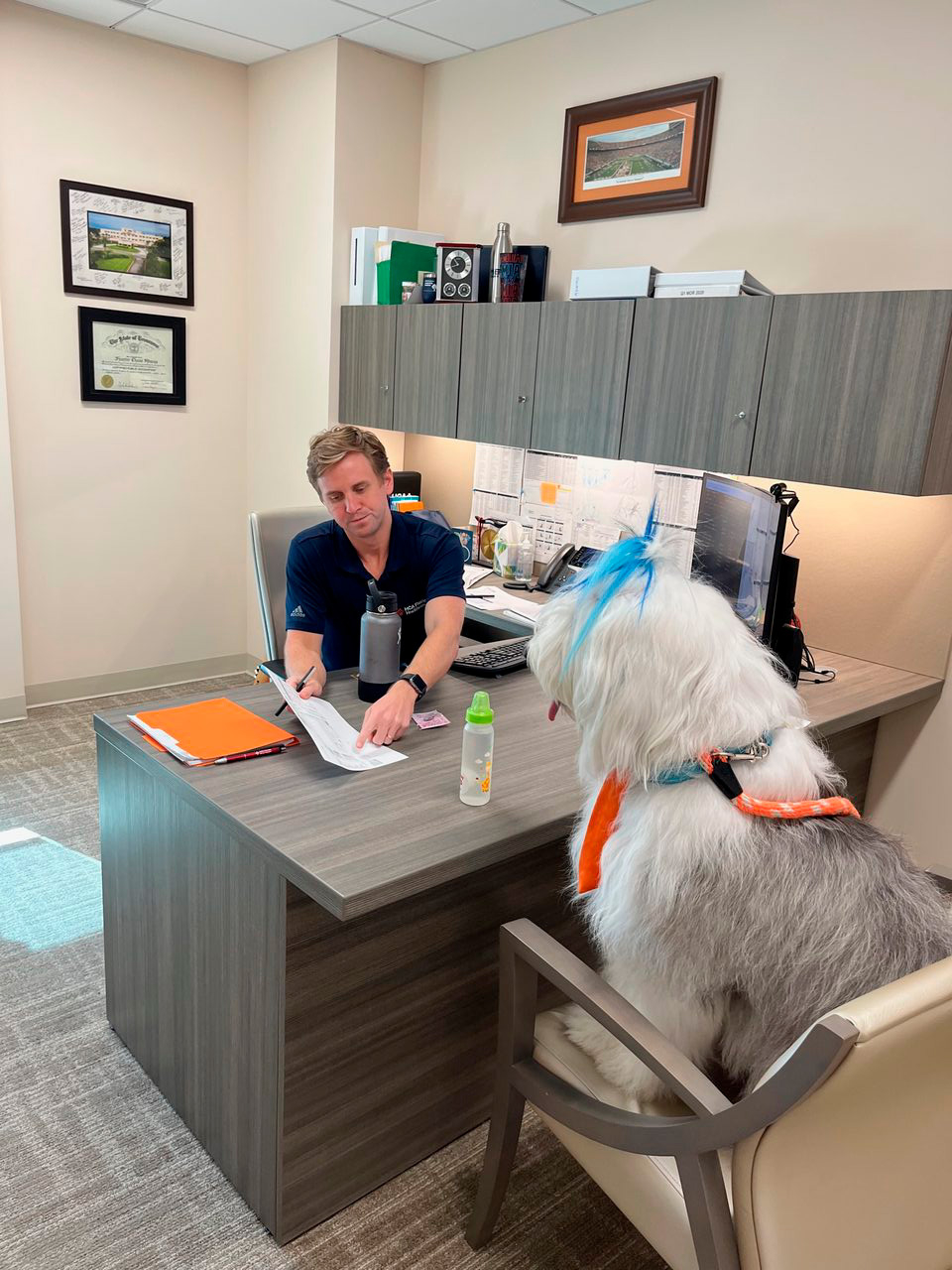 Oct 7, 2022 | Ale Ramos Therapy Animals