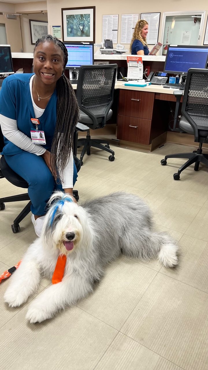  Oct 7, 2022 | Ale Ramos Therapy Animals