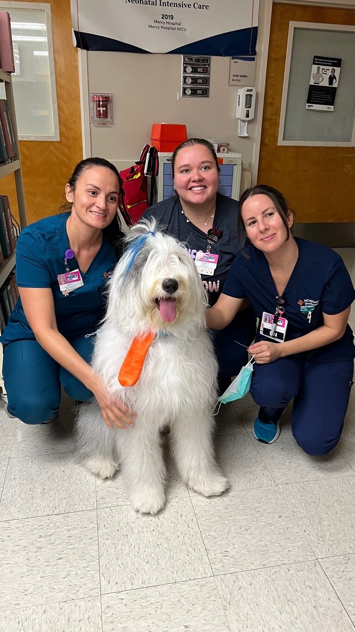  Oct 7, 2022 | Ale Ramos Therapy Animals