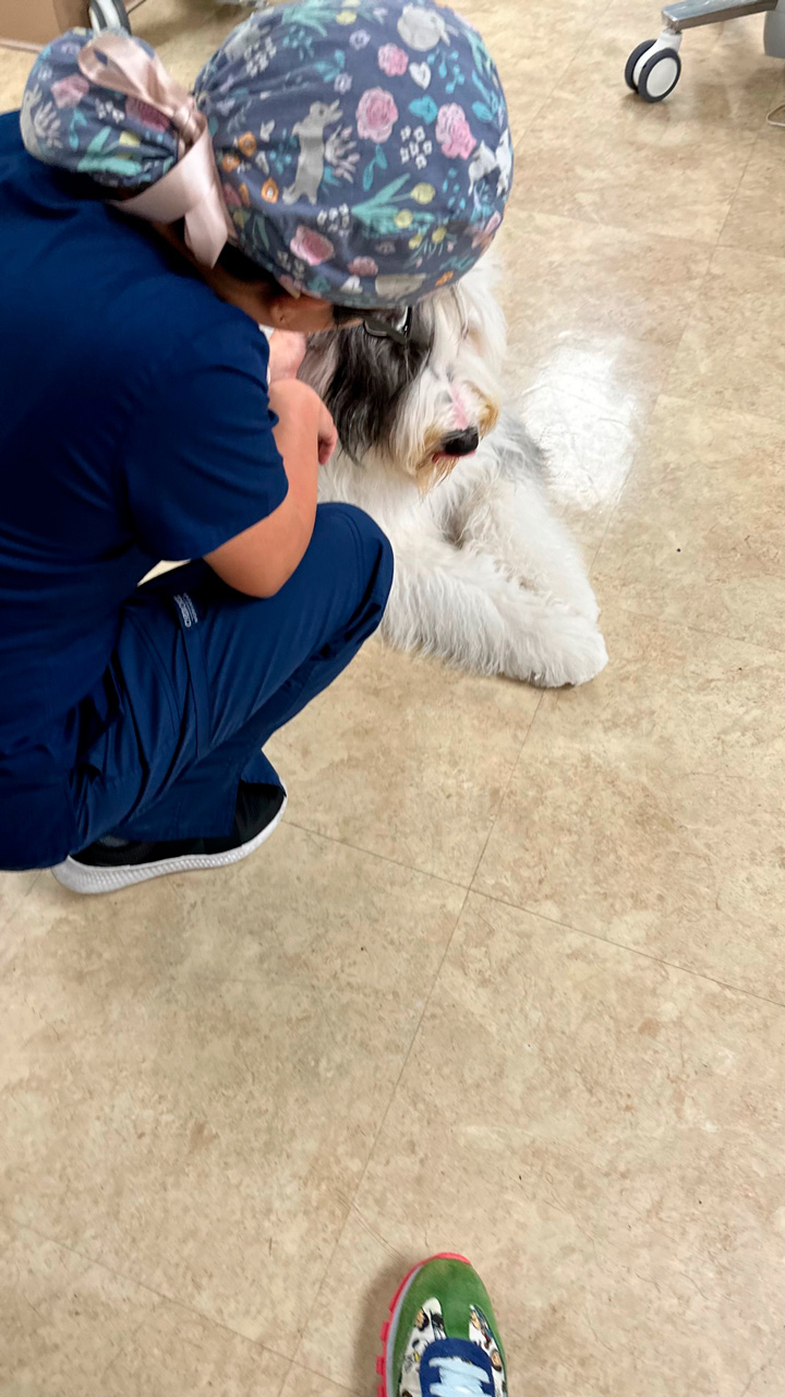  May 10, 2023 | Ale Ramos Therapy Animals