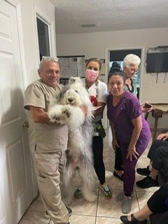 Sept 8, 2022 | Ale Ramos Therapy Animals