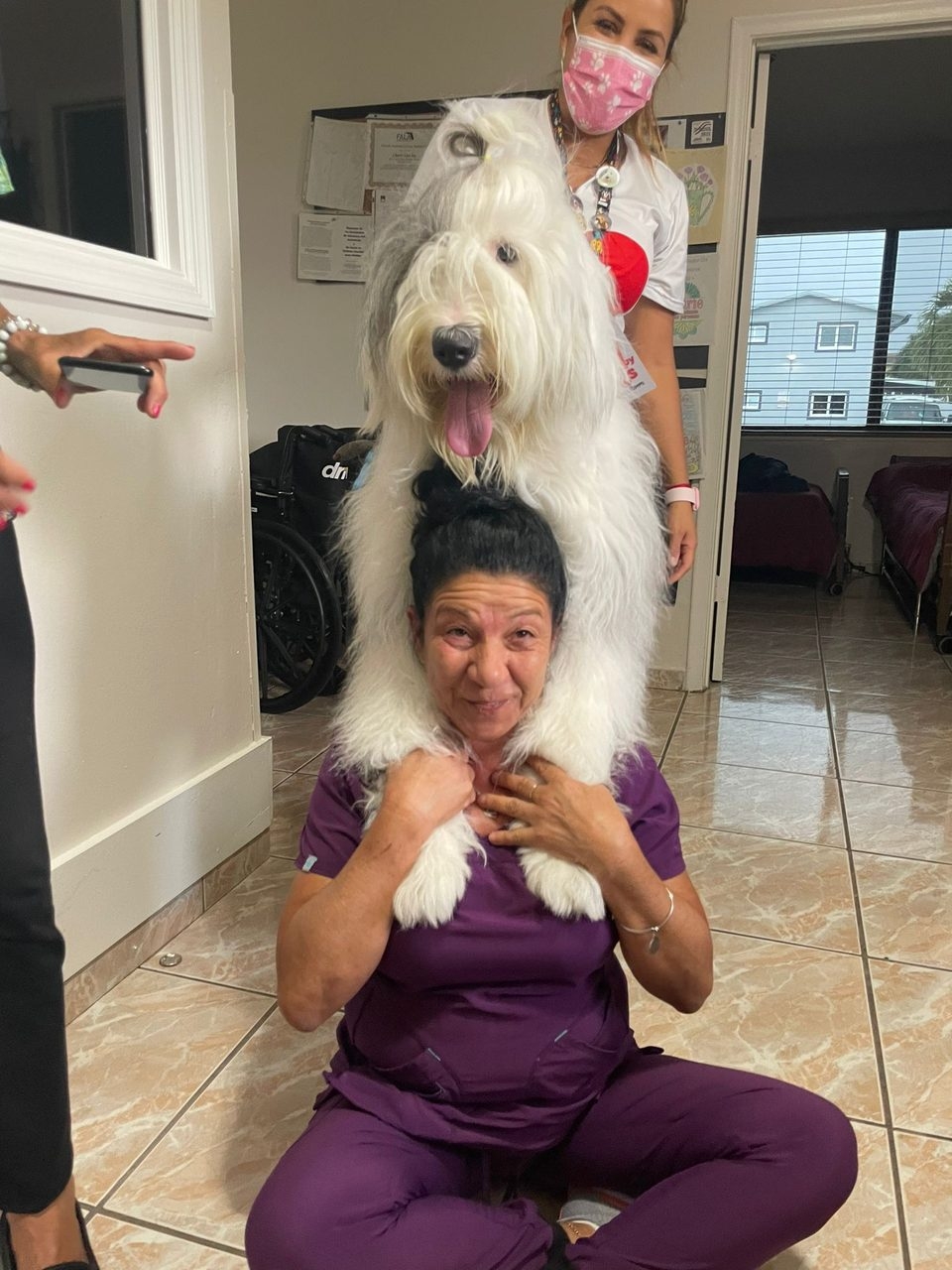  Sept 8, 2022 | Ale Ramos Therapy Animals