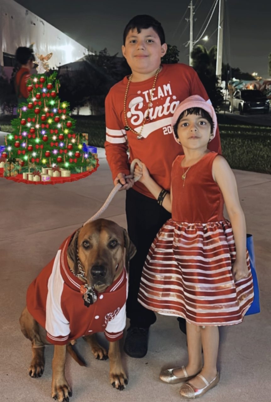 Tree Lighting by Mystic Force Foundation | Ale Ramos Therapy Animals
