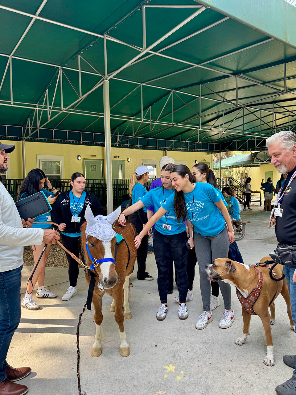 VACC Camp 2025 by Nicklaus children’s Hospital - March 24, 2025 | Ale Ramos Therapy Animals