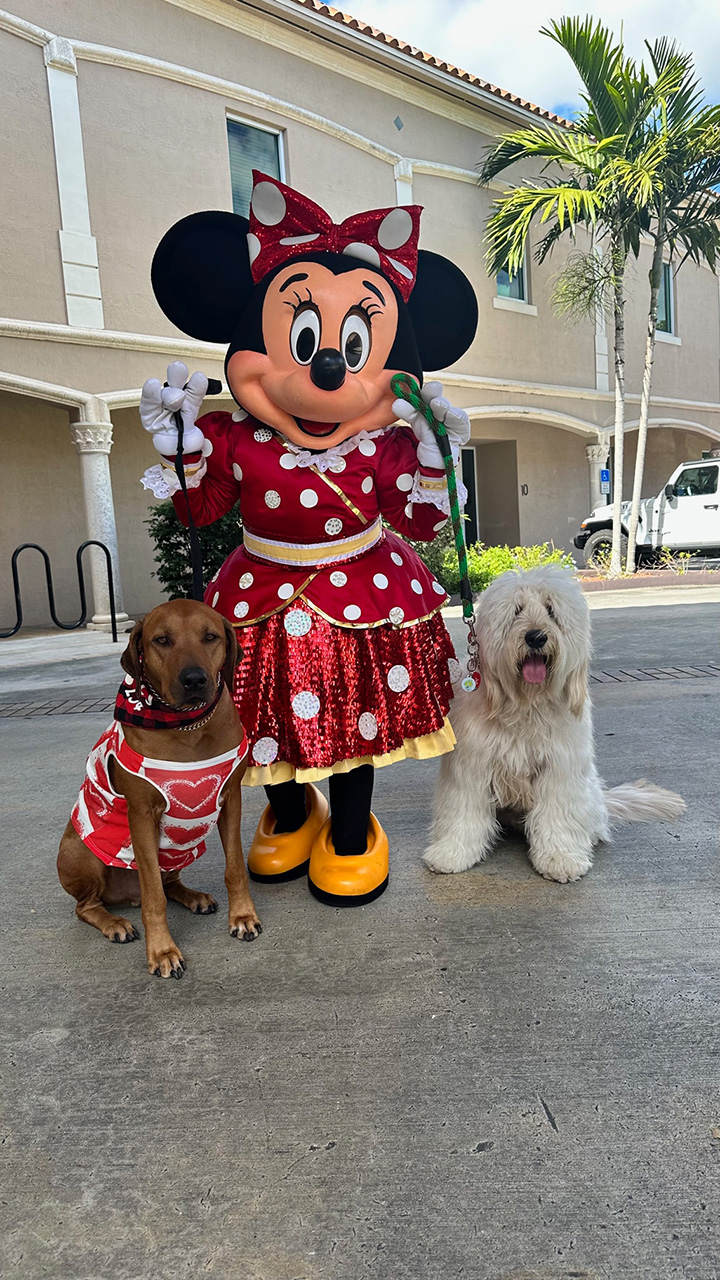 Valentine celebration at Big Bear Academy with Odin 2023 | Ale Ramos Therapy Animals