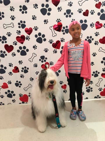 Valentine celebration at Nicklaus Children’s Hospital - February 2024 | Ale Ramos Therapy Animals