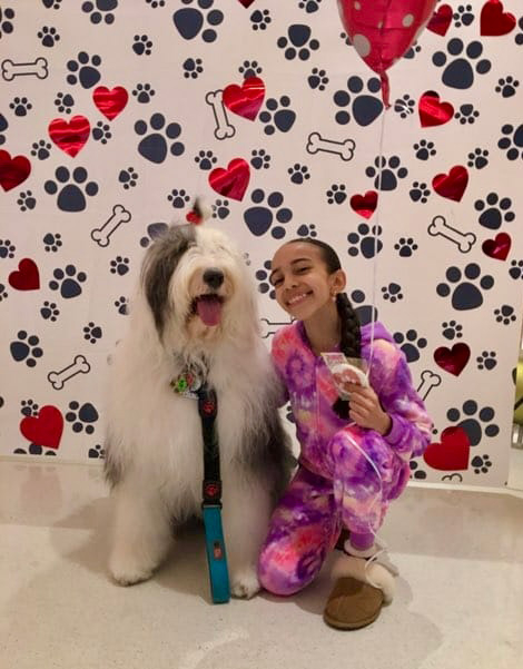 Valentine celebration at Nicklaus Children’s Hospital - February 2024 | Ale Ramos Therapy Animals