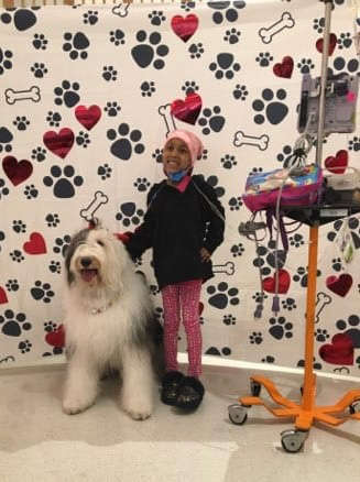 Valentine celebration at Nicklaus Children’s Hospital - February 2024 | Ale Ramos Therapy Animals