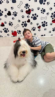Valentine celebration at Nicklaus Children’s Hospital - February 2024 | Ale Ramos Therapy Animals