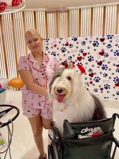 Valentine celebration at Nicklaus Children’s Hospital - February 2024 | Ale Ramos Therapy Animals