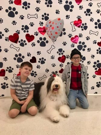 Valentine celebration at Nicklaus Children’s Hospital - February 2024 | Ale Ramos Therapy Animals
