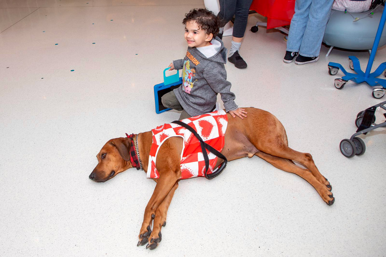  February 14, 2023 | Ale Ramos Therapy Animals