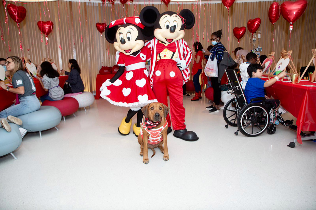  February 14, 2023 | Ale Ramos Therapy Animals