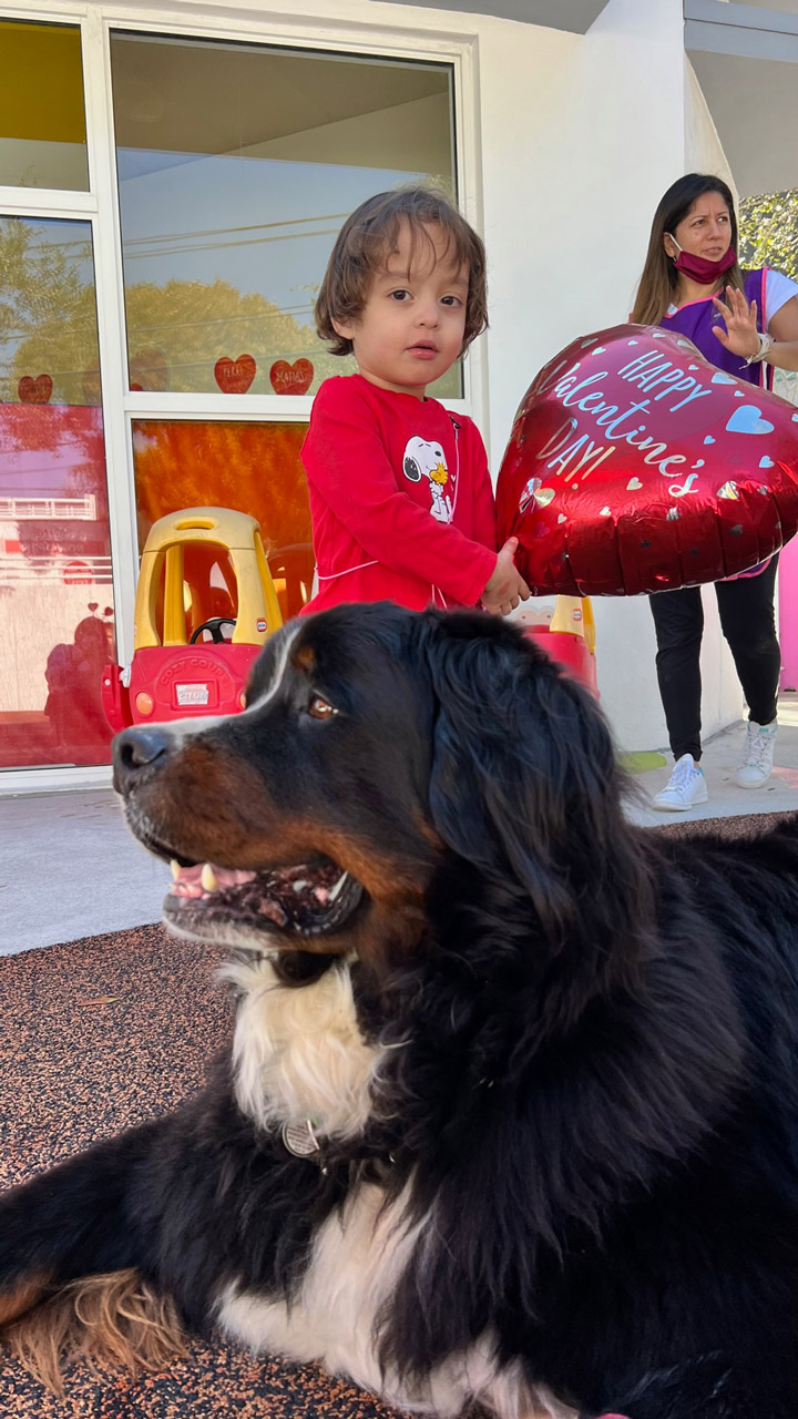  February 14, 2022 | Ale Ramos Therapy Animals