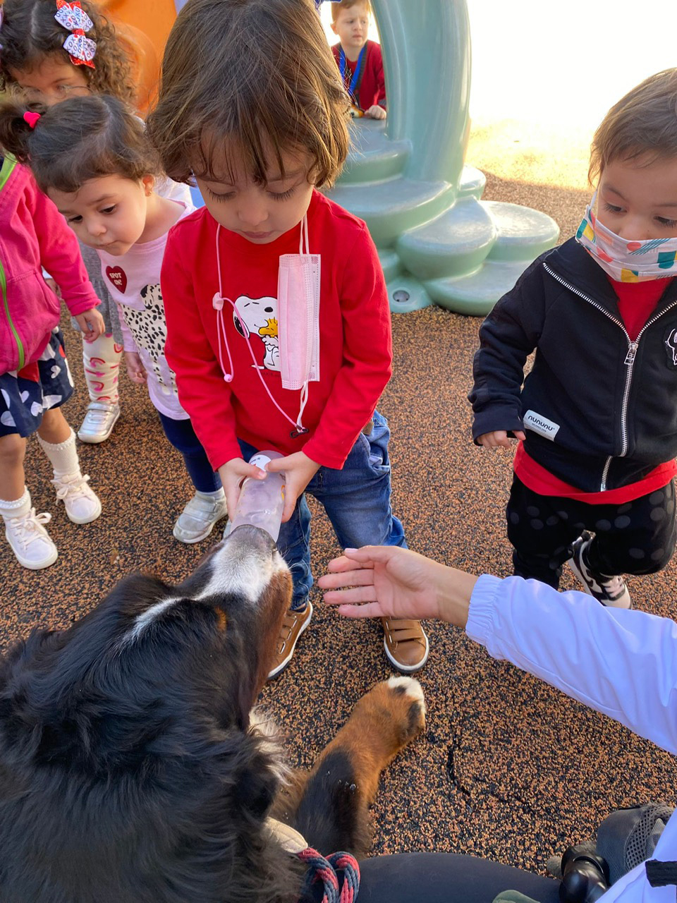  February 14, 2022 | Ale Ramos Therapy Animals