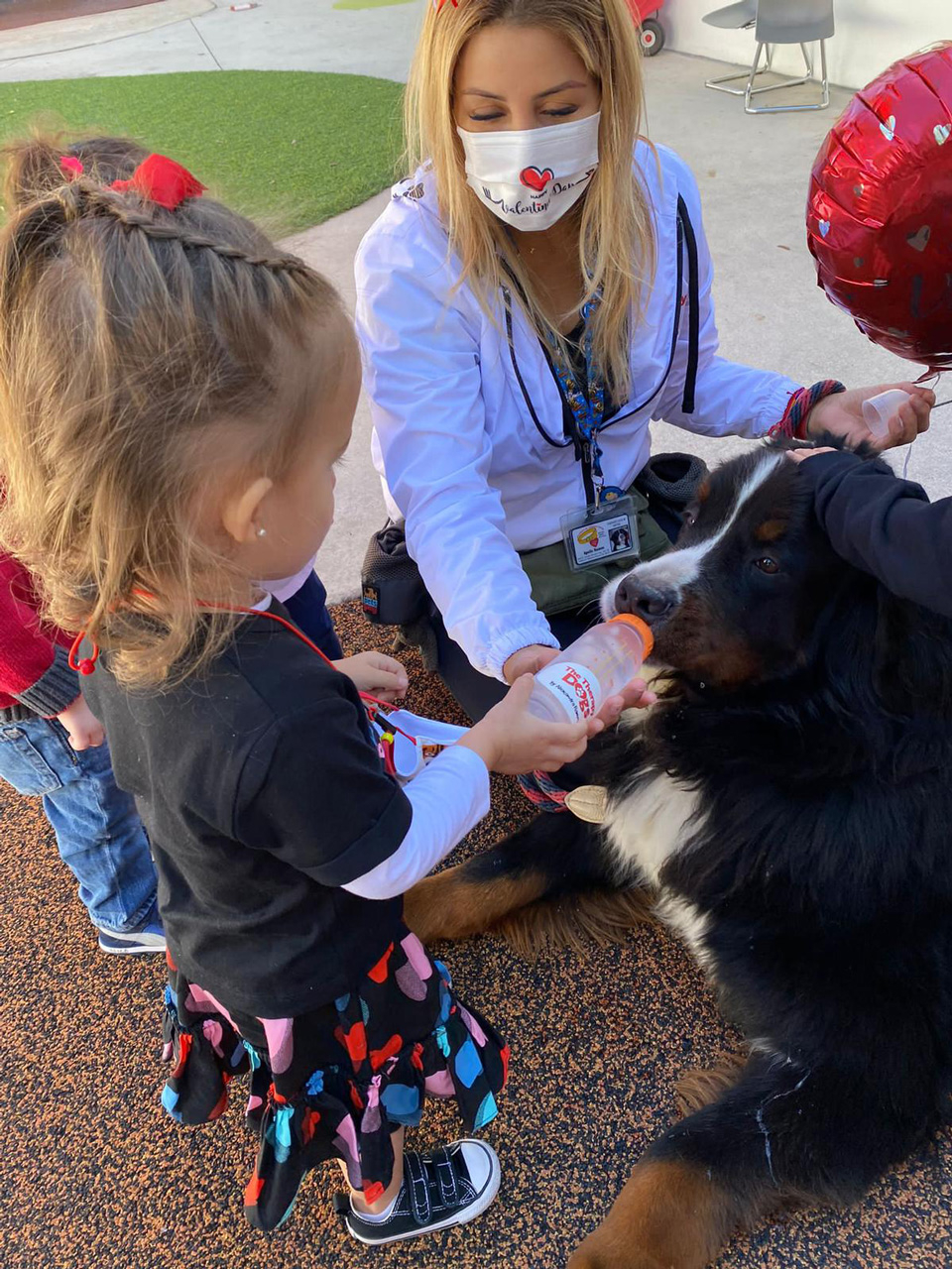  February 14, 2022 | Ale Ramos Therapy Animals